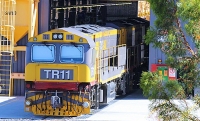 Taswegians to halt Remote Control Trains