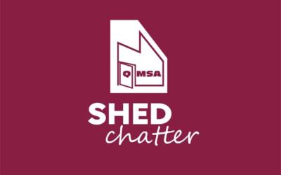 Spring 2025 Issue of the Shed Chatter Is Out Now